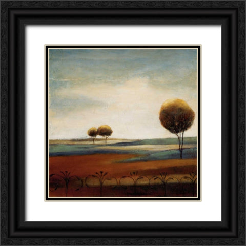 Tranquil Plains II Black Ornate Wood Framed Art Print with Double Matting by Salemink-Roos, Ursula