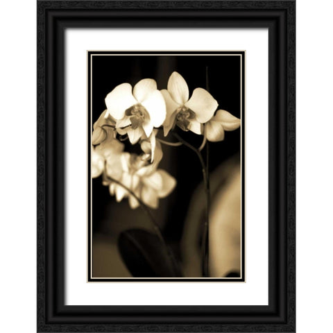 Exotic Blooms Black Ornate Wood Framed Art Print with Double Matting by Ryan, Cinzia