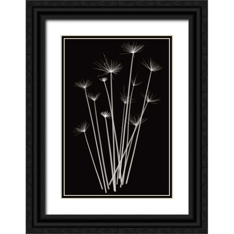 Three Rushes Black Ornate Wood Framed Art Print with Double Matting by Wehtje, Jim