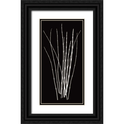 Three Rushes Black Ornate Wood Framed Art Print with Double Matting by Wehtje, Jim