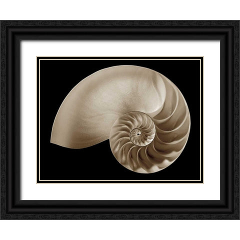 Ocean Keepsake II Black Ornate Wood Framed Art Print with Double Matting by Britt, Charles