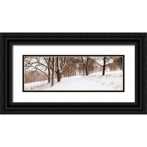 First Snow I Black Ornate Wood Framed Art Print with Double Matting by Sleeper, Mike
