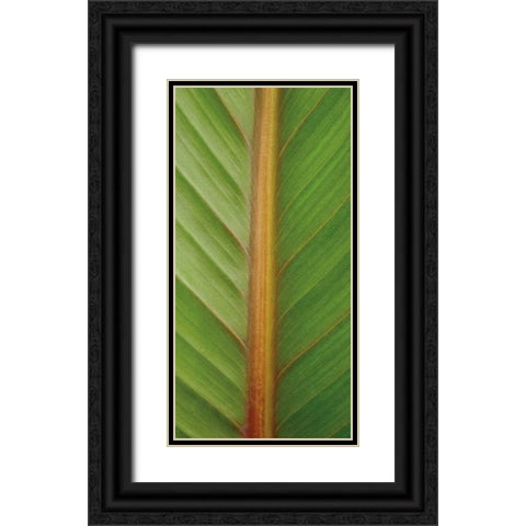 Verdant Trio II Black Ornate Wood Framed Art Print with Double Matting by Maihara/Watt, Jeff/Boyce