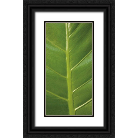 Verdant Trio III Black Ornate Wood Framed Art Print with Double Matting by Maihara/Watt, Jeff/Boyce