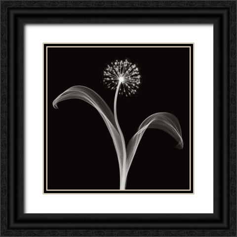 Into the Night I Black Ornate Wood Framed Art Print with Double Matting by Wehtje, Jim