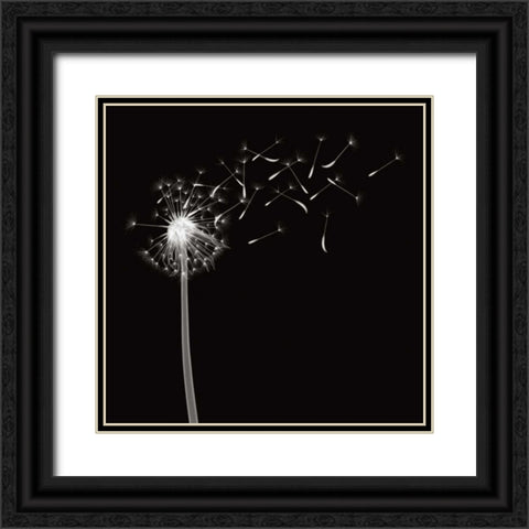 Into the Night II Black Ornate Wood Framed Art Print with Double Matting by Wehtje, Jim
