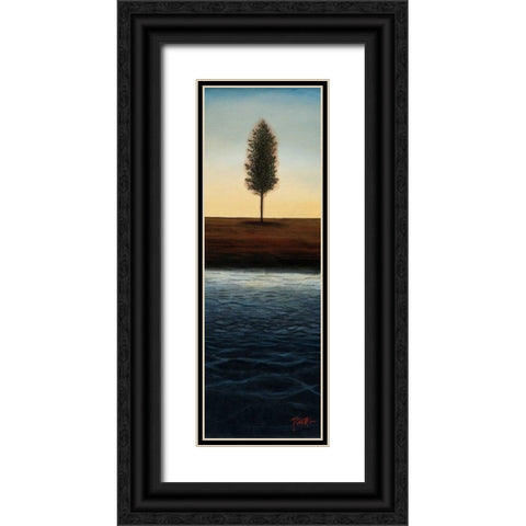 Across the Water I - Blue Landscape Black Ornate Wood Framed Art Print with Double Matting by St.Germain, Patrick
