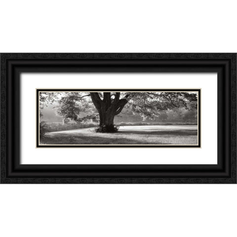 Ascendancy) Black Ornate Wood Framed Art Print with Double Matting by Sleeper, Mike