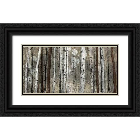 Silver Lining Black Ornate Wood Framed Art Print with Double Matting by Venter, Tandi