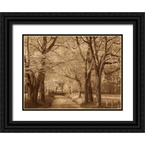 Smokies Road Black Ornate Wood Framed Art Print with Double Matting by Caro, Wendy