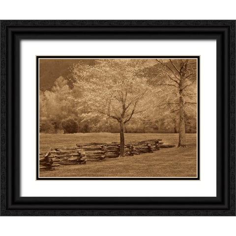 Smokies Fence Black Ornate Wood Framed Art Print with Double Matting by Caro, Wendy