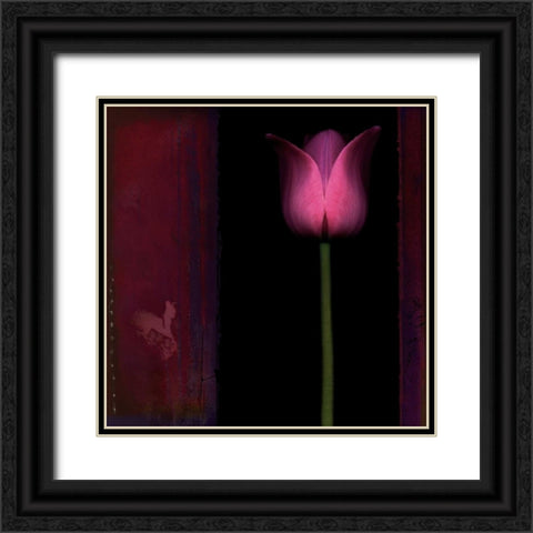 Red Tulip I Black Ornate Wood Framed Art Print with Double Matting by Filler, Rick