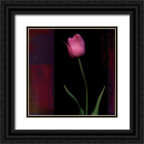 Red Tulip II Black Ornate Wood Framed Art Print with Double Matting by Filler, Rick