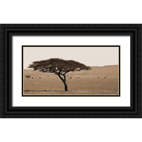 Serengeti Horizons I Black Ornate Wood Framed Art Print with Double Matting by Maihara/Watt, Jeff/Boyce