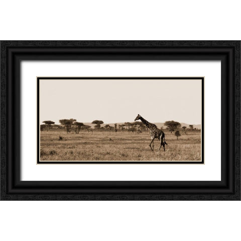 Serengeti Horizons II Black Ornate Wood Framed Art Print with Double Matting by Maihara/Watt, Jeff/Boyce