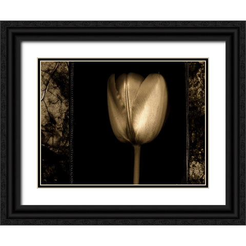 White Tulipa II Black Ornate Wood Framed Art Print with Double Matting by Filler, Rick