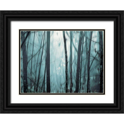 Spring Mist I Black Ornate Wood Framed Art Print with Double Matting by Pelkey, Marvin