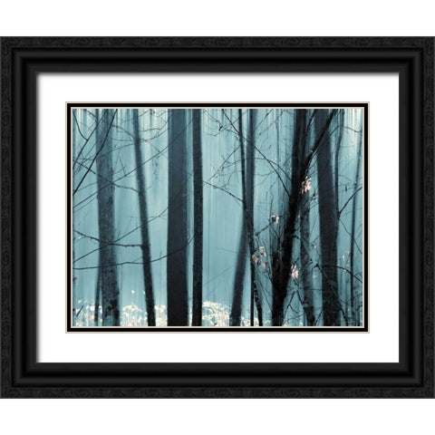 Spring Mist II Black Ornate Wood Framed Art Print with Double Matting by Pelkey, Marvin