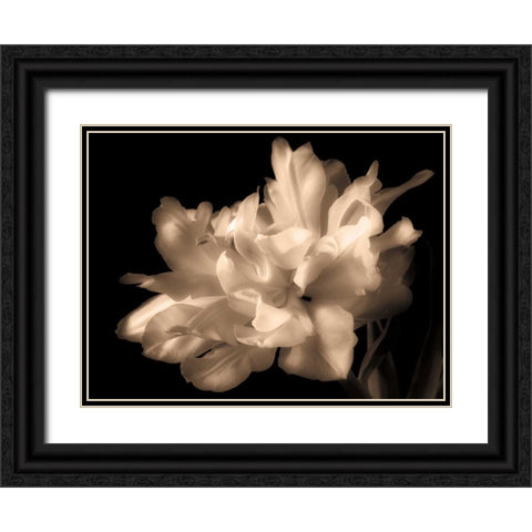 Double Dappled I Black Ornate Wood Framed Art Print with Double Matting by Britt, Charles