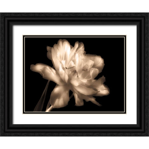 Double Dappled II Black Ornate Wood Framed Art Print with Double Matting by Britt, Charles