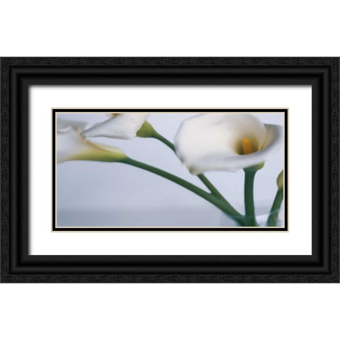 Springplicity I Black Ornate Wood Framed Art Print with Double Matting by Ryan, Cinzia