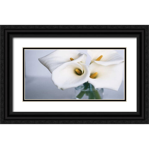 Springplicity II Black Ornate Wood Framed Art Print with Double Matting by Ryan, Cinzia