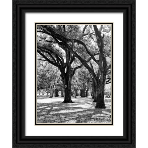 Oak Tree Study Black Ornate Wood Framed Art Print with Double Matting by Maihara/Watt, Jeff/Boyce