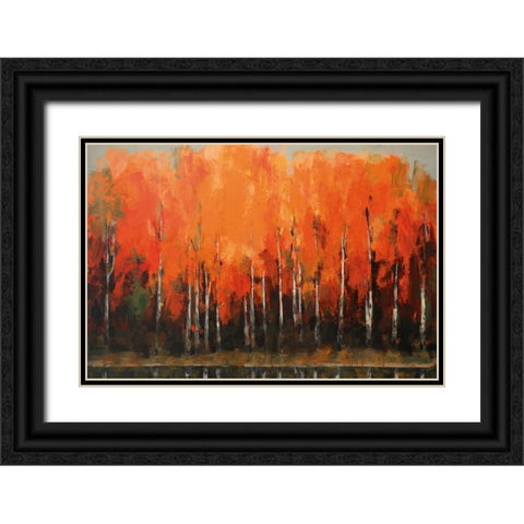 Birch Shoreline Black Ornate Wood Framed Art Print with Double Matting by Colbert , Peter