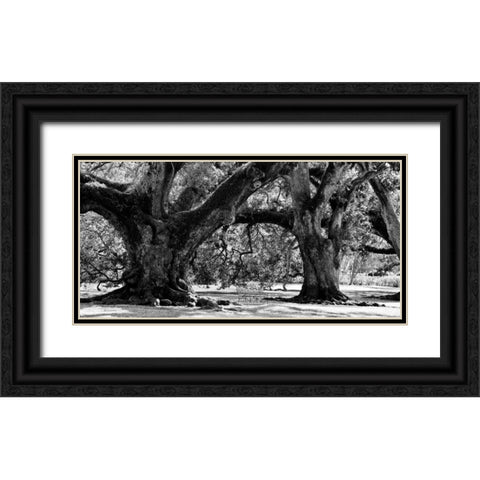 Majestic Oaks II Black Ornate Wood Framed Art Print with Double Matting by Maihara, Jeff