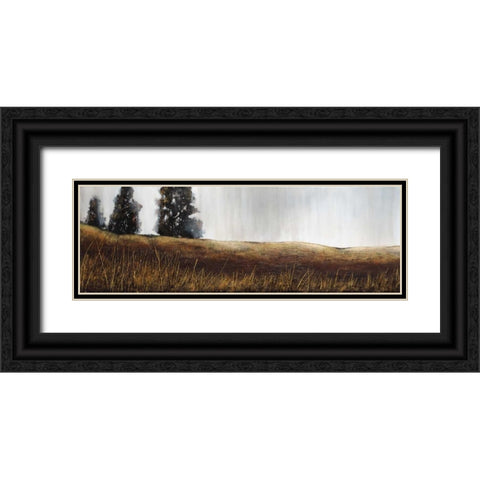 Summer Lights Black Ornate Wood Framed Art Print with Double Matting by St.Germain, Patrick