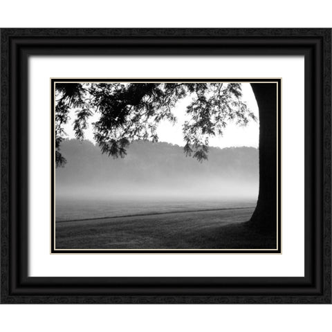 Fog in the Park I Black Ornate Wood Framed Art Print with Double Matting by Bydlo, Gary