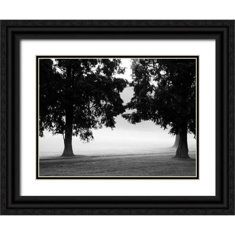 Fog in the Park II Black Ornate Wood Framed Art Print with Double Matting by Bydlo, Gary