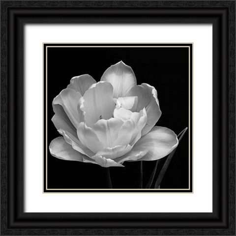Summers Comfort Black Ornate Wood Framed Art Print with Double Matting by Britt, Charles