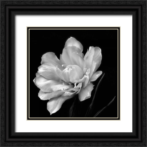 Summers Surprise Black Ornate Wood Framed Art Print with Double Matting by Britt, Charles