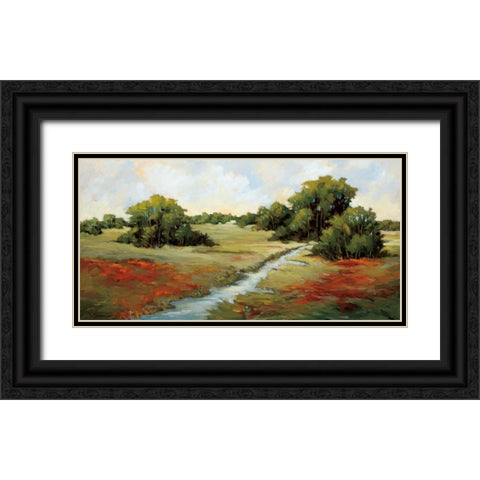 Kissimmee Grasslands Black Ornate Wood Framed Art Print with Double Matting by Baynes, Maija