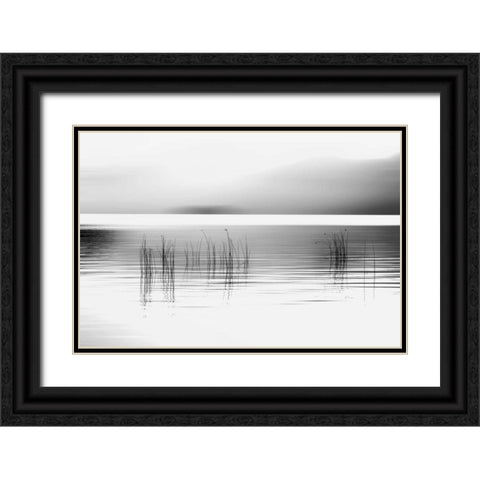 Tranquil Dawn Black Ornate Wood Framed Art Print with Double Matting by Pelkey, Marvin