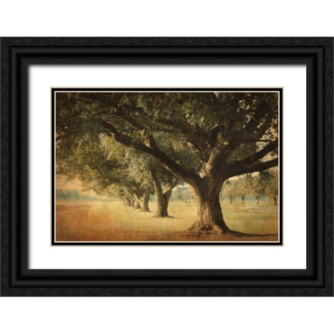 Island Oak Black Ornate Wood Framed Art Print with Double Matting by Guion, William