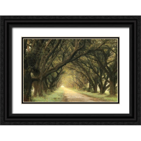 Evergreen Alley Black Ornate Wood Framed Art Print with Double Matting by Guion, William