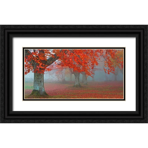 arboles Rojos Black Ornate Wood Framed Art Print with Double Matting by Palacios, Juan Antonio