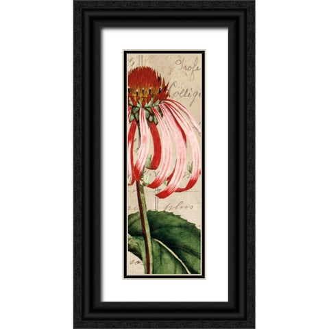 Jardin Botanique I Black Ornate Wood Framed Art Print with Double Matting by Berg, Sabine