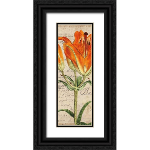 Jardin Botanique II Black Ornate Wood Framed Art Print with Double Matting by Berg, Sabine