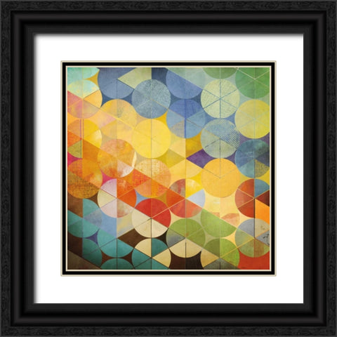 Full Circle II Black Ornate Wood Framed Art Print with Double Matting by NOAH