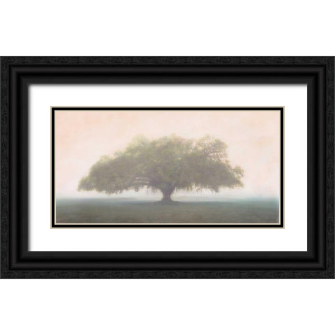 Oak in the Fog Black Ornate Wood Framed Art Print with Double Matting by Guion, William