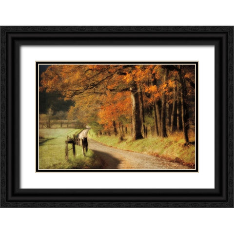 Autumns Morning Light Black Ornate Wood Framed Art Print with Double Matting by Burt, D.
