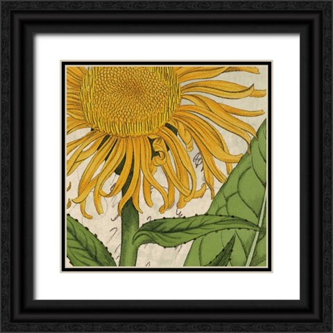 Joyful Bloom I Black Ornate Wood Framed Art Print with Double Matting by Berg, Sabine