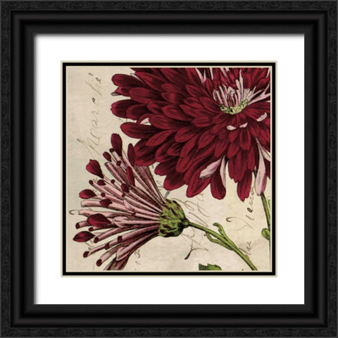 Joyful Bloom II Black Ornate Wood Framed Art Print with Double Matting by Berg, Sabine