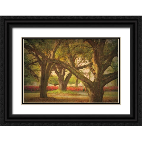 Three Oaks and Azaleas Black Ornate Wood Framed Art Print with Double Matting by Guion, William