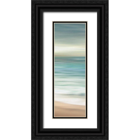 Ocean Calm III Black Ornate Wood Framed Art Print with Double Matting by Venter, Tandi