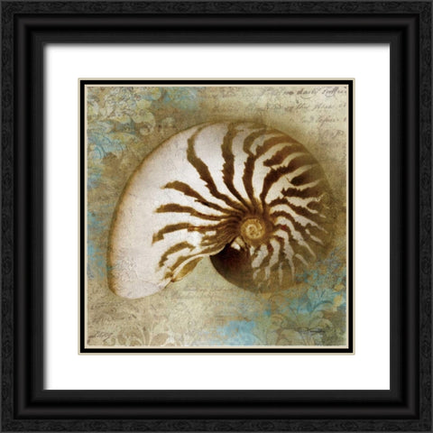 Nautical Beauty Black Ornate Wood Framed Art Print with Double Matting by Mallett, Keith