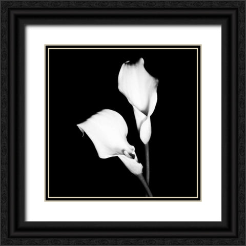 Calla Portrait I Black Ornate Wood Framed Art Print with Double Matting by Maihara, Jeff